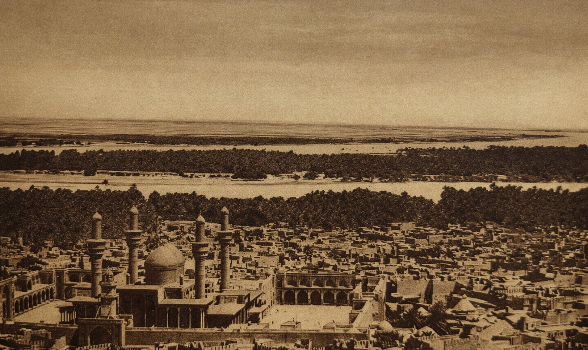 النشأة والخلفية الاجتماعية